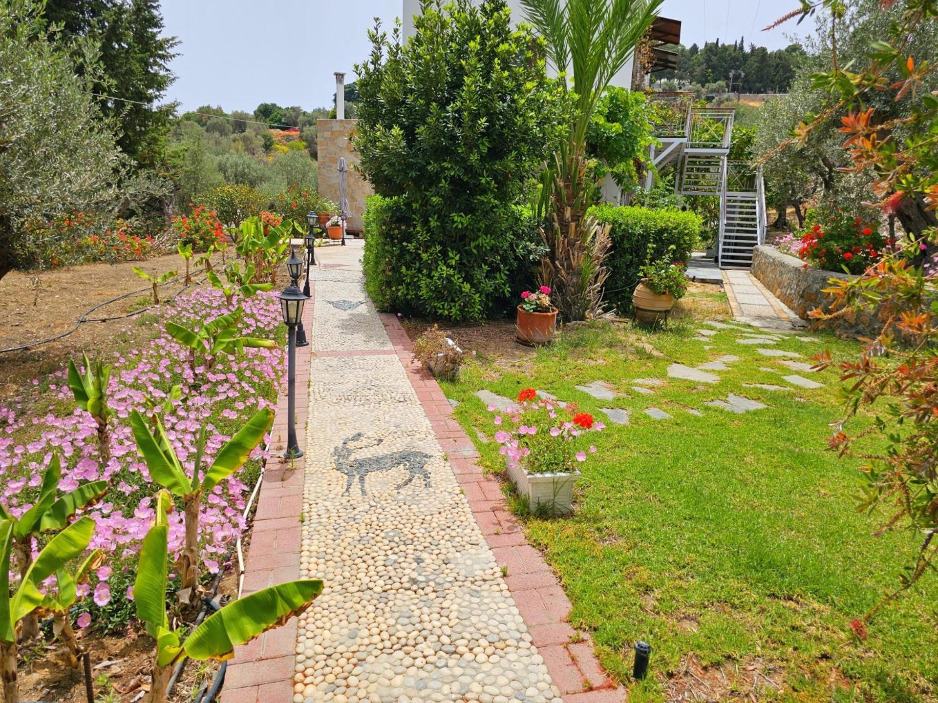 Galini View Apartments Lindos Exteriör bild